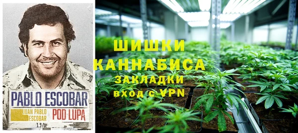 ECSTASY Медвежьегорск